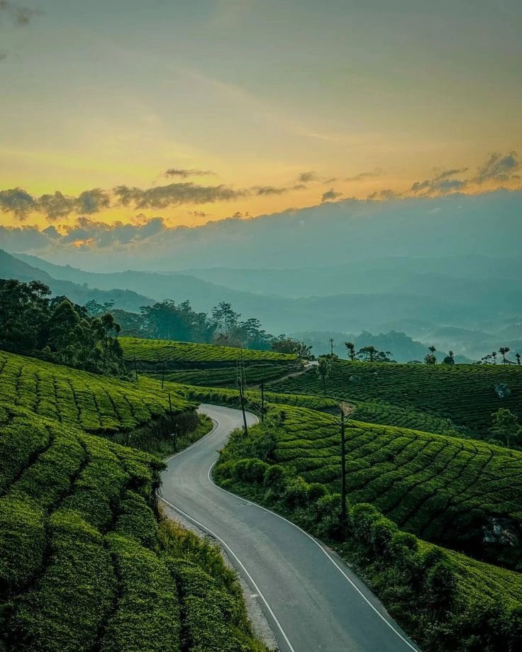 Munnar Sunrise View