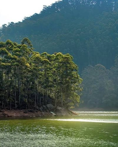 Kundala Dam